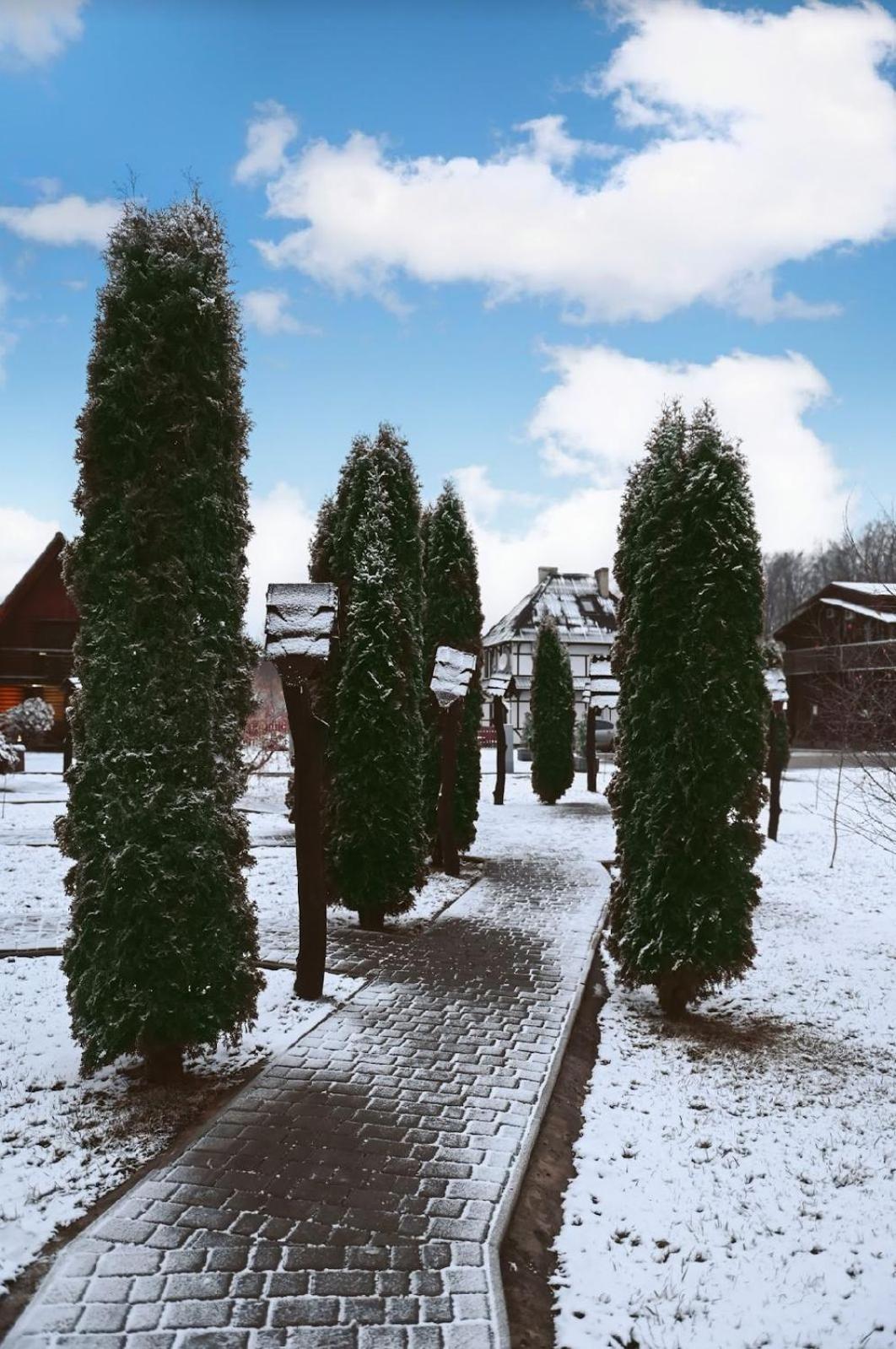 Hotel Orlyne Gnizdo Černivci Esterno foto