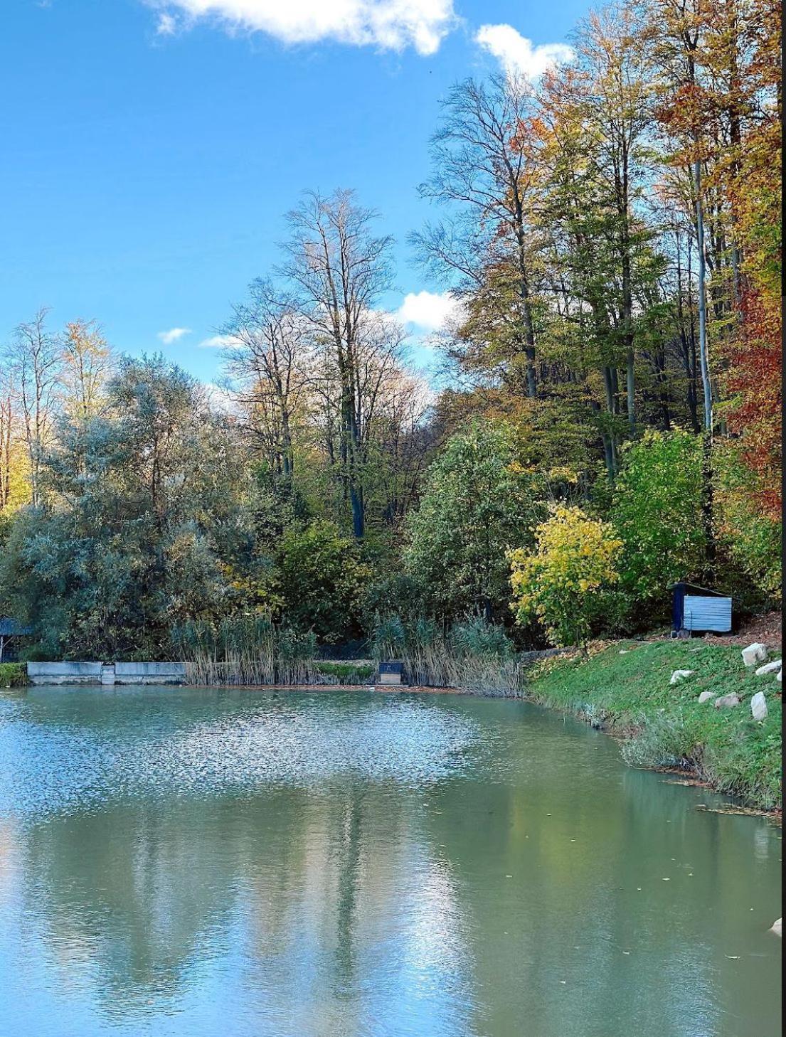 Hotel Orlyne Gnizdo Černivci Esterno foto